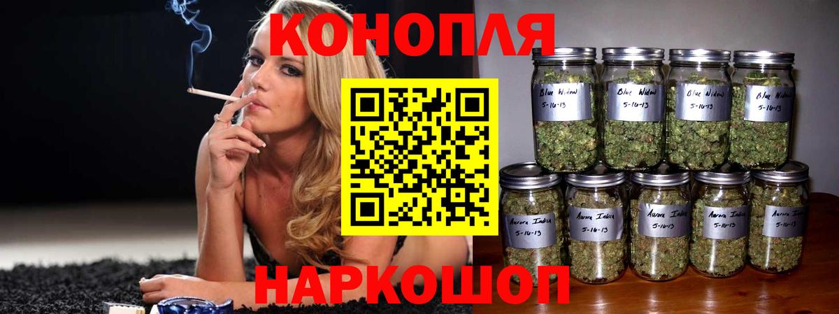 Шишки марихуана планчик  МАРИХУАНА конопля  Бошки Шишки индика  Бийск  Вход с VPN  Конопля конопля 